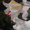 Lily Mania - 14x19 pastel;  For purchase, contact the artist